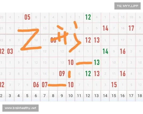 三b开奖结果分析与预测：精准数字走势助力投注技巧探索